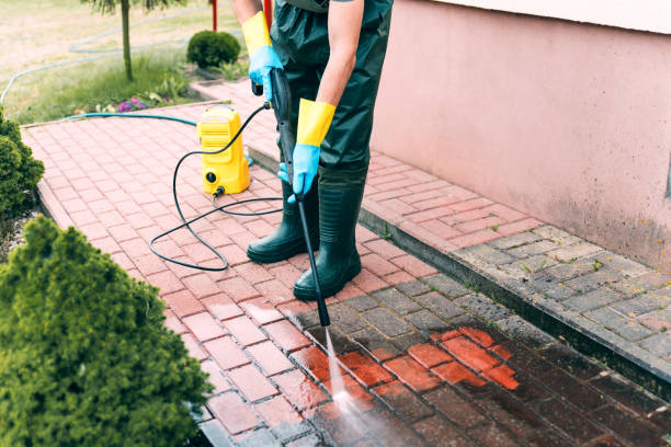 Best Roof Pressure Washing  in Wabasso Beach, FL